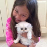 Persian-Kitten-Luna-with beautiful-girl